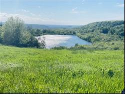 Lot 25 A Steuben hill rd Road, Herkimer NY 13350