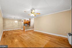 700 Avondale Road Unit 3D, Wallingford PA 19086