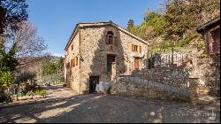 Country homes with pool and spa, Arezzo - Tuscany