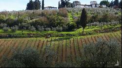 The Cypress Mansion, Chianti DOCG vineyards, Firenze - Tuscany 