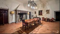 The Cypress Mansion, Chianti DOCG vineyards, Firenze - Tuscany 