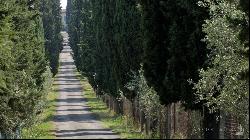 The Cypress Mansion, Chianti DOCG vineyards, Firenze - Tuscany 