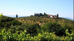 The Cypress Mansion, Chianti DOCG vineyards, Firenze - Tuscany 