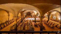 Chianti Classico vineyards with ancient hamlet, Siena - Tuscany