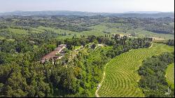 Il Barone Mansion with Chianti DOCG vineyards, Pisa - Tuscany