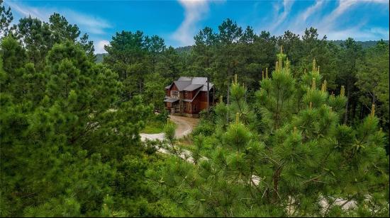 24 Black Gum Trail, Broken Bow, OK, 74728, USA