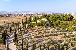 Luxury Mansion in Nicosia