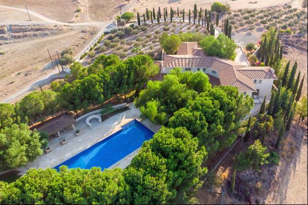 Luxury Mansion in Nicosia