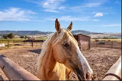 Working Montana Horse Ranch