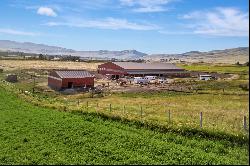 Working Montana Horse Ranch