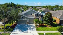 31524 Bearded Oak Drive, Wesley Chapel FL 33543