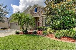 31524 Bearded Oak Drive, Wesley Chapel FL 33543