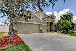 31524 Bearded Oak Drive, Wesley Chapel FL 33543