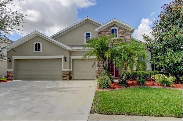 31524 Bearded Oak Drive, Wesley Chapel FL 33543