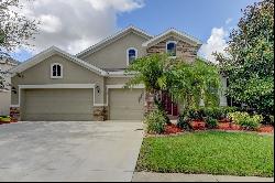 31524 Bearded Oak Drive, Wesley Chapel FL 33543