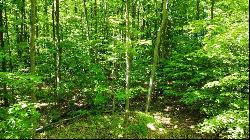 TBD S Wilson Road Parcel D, East Jordan MI 49770