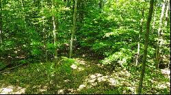 TBD S Wilson Road Parcel D, East Jordan MI 49770