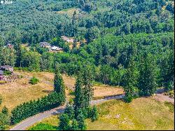 2352 Green Mountain Rd, Kalama WA 98625