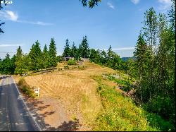 2352 Green Mountain Rd, Kalama WA 98625