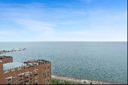 1310 N Ritchie Court #30AD, Chicago IL 60610