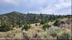 160 acres off of MT Hwy 287 St, Alder MT 59710