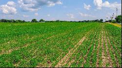 25 +/- Acres State Highway E, Jonesburg MO 63351