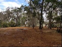 1005 N Pennybacker Road, Inverness FL 34453