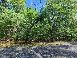 0 Athlone Ct 3.98 Ac, Cedar Hill MO 63016