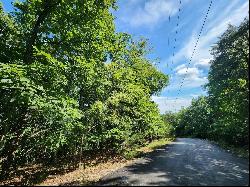 0 Athlone Ct 3.98 Ac, Cedar Hill MO 63016