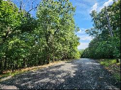 0 Athlone Ct 3.98 Ac, Cedar Hill MO 63016