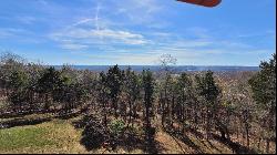 0 Athlone Ct 3.98 Ac, Cedar Hill MO 63016