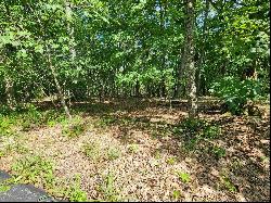 0 Athlone Ct 3.98 Ac, Cedar Hill MO 63016