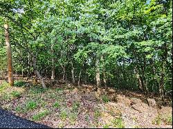 0 Athlone Ct 3.98 Ac, Cedar Hill MO 63016