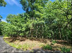 0 Athlone Ct 3.98 Ac, Cedar Hill MO 63016