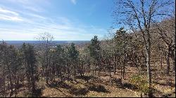 0 Athlone Ct 3.98 Ac, Cedar Hill MO 63016