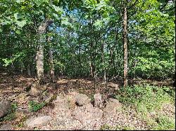 0 Athlone Ct 3.98 Ac, Cedar Hill MO 63016