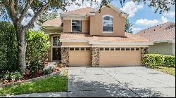 17809 Sandpine Trace Way, Tampa FL 33647