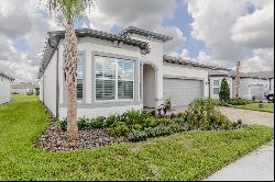 5858 Shorebird Branch, Land O Lakes FL 34638