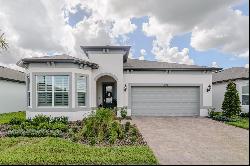 5858 Shorebird Branch, Land O Lakes FL 34638