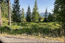 Lake Pend Oreille View Parcel