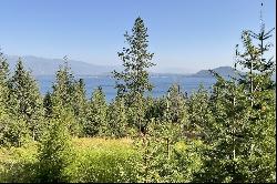 Lake Pend Oreille View Parcel