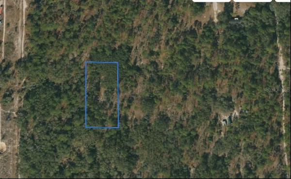 Off SE 122nd Avenue, Morriston FL 32668