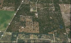 Off SE 122nd Avenue, Morriston FL 32668