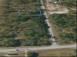 Shamrock Avenue, Dunnellon FL 34431