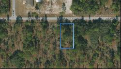 Shamrock Avenue, Dunnellon FL 34431