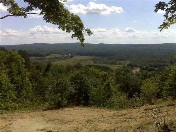 TBD Moritz Trail Lot 117, Boyne Falls MI 49713