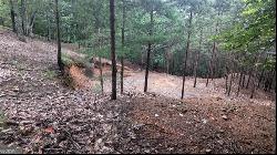 56 Oglethorpe Mountain Trail, Jasper GA 30143