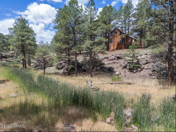 7851 Pine Country Lane, Flagstaff AZ 86004