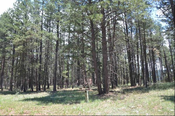 Lot 1 Block 2 Columbine Terrace, Angel Fire NM 87710