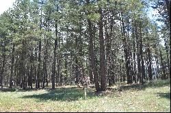 Lot 1 Block 2 Columbine Terrace, Angel Fire NM 87710